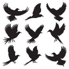 set of birds