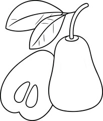 Line Drawing of Rose Apple, Fruit, Illustration, Simple, Graphic, Botanical, Drawing, Half, Slice, L
