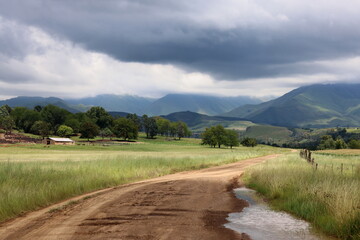Road landscape