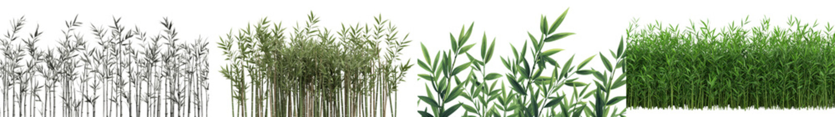 Lush verdant bamboo forest landscape with natural foliage and flourishing greenery in a serene tranquil outdoor environment  Rich biodiversity and eco friendly
