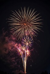 Vibrant fireworks illuminating the night sky with radiant displays
