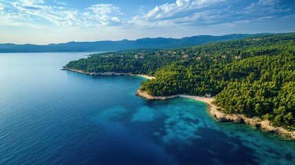 Serene Coastal Landscape with Lush Green Forest and Clear Waters