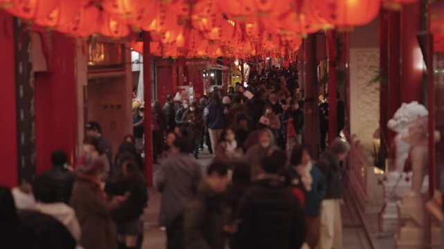 250203_nagasaki_4069