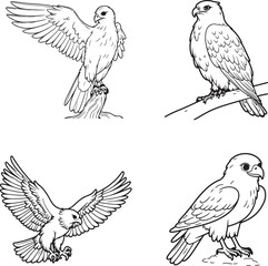 Obraz premium set of hawk silhouette line art vector