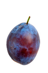 Isolated blue plum on a white background