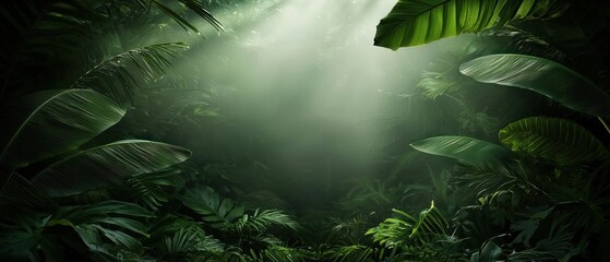 Fototapeta premium Lush Jungle Sunlight Filters Through Foliage