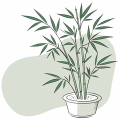 Fototapeta premium green bamboo plant in pot vector illustration