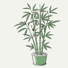 green bamboo plant in pot vector illustration