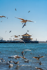 Serene Coastal View with Birds and Pavilion Under Clear Blue Sky