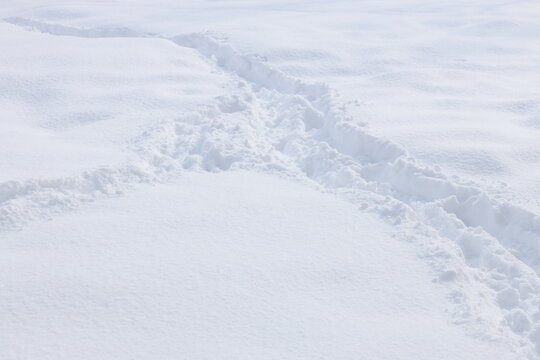雪に足跡で作った道