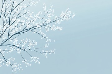 Serene Blossoms: White Flowers Blooming on Branches Against a Blue Sky, a Peaceful Springtime Scene
