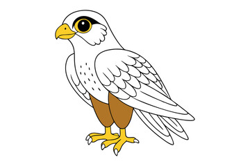 Falcon