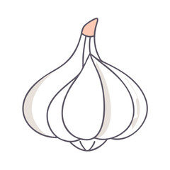 garlic icon, garlic vector illustration-simple illustration of garlic, perfect for garlic logos and icons