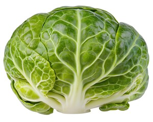 Obraz premium Fresh Green Brussels Sprout Cabbage with Detailed Leaf Texture