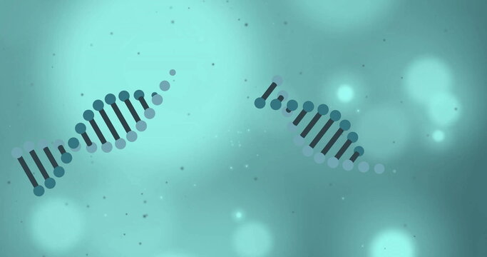 Image of dna strands and glowing light spots moving over blue background
