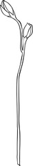 Line Flower Illustration