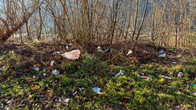 A littered forest floor highlights environmental pollution, urging awareness for Earth Day cleanup initiatives