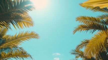 tropical paradise palm trees sunny sky