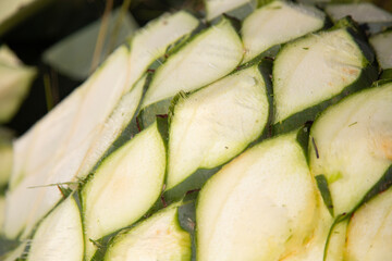 Jima is the process of pruning the agave by cutting its leaves and extracting its root to leave it clean and ready for processing and making mezcal in Oaxaca, Mexico.