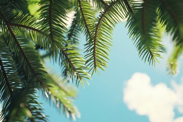 Close-up view of a tree branch against a clear blue sky