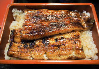 Japanese-style grilled eel rice