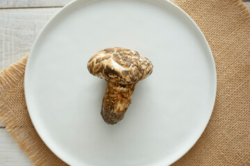 A top down view of a matsutake mushroom on a plate.