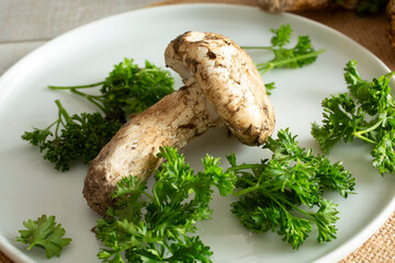 A view of a matsutake mushroom on a plate.