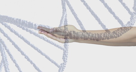 Image of dna strand over hands of caucasian woman on white background
