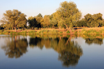 Scenic landscape with tree reflections in water at sunset