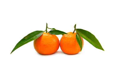 Tangerines or clementines with green leaf on a white background close-up