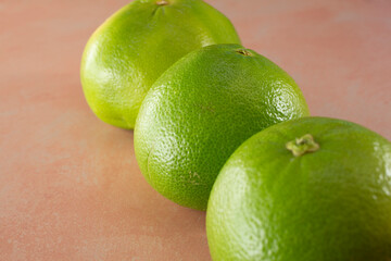 A view of a row of melogold grapefruit.
