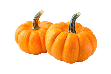 Two orange pumpkins Isolated on white background.