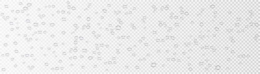 Realistic vector water drops isolated on transparent background. High-quality illustration of droplets after rain, morning dew, and condensation on glass surfaces. Water texture with drops