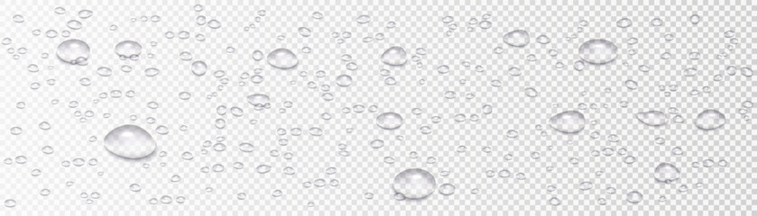 Realistic vector water drops isolated on transparent background. High-quality illustration of droplets after rain, morning dew, and condensation on glass surfaces. Water texture with drops