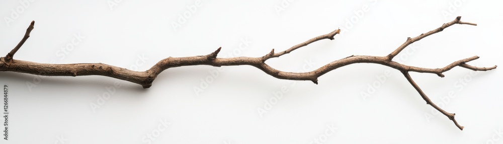 Aufkleber natural dry branch isolated on white background for artistic and decorative use in design projects