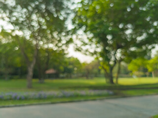 Blurred view of a park, pond, trees and cloudless sky in the morning