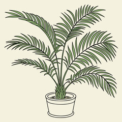 Palm tree plant in pot vector illustration