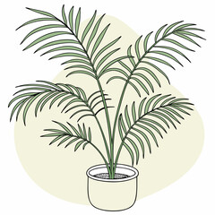 Obraz premium Palm tree plant in pot vector illustration