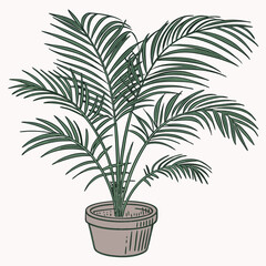 Palm tree plant in pot vector illustration