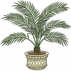Palm tree plant in pot vector illustration