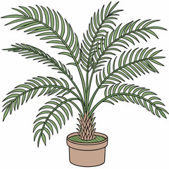 Palm tree plant in pot vector illustration
