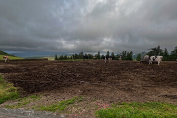 Landscapes of Sao Miguel island in Azores archipelago Portugal