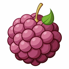 puffy mulberry cluster