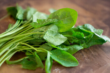 サラダほうれん草