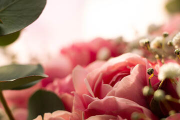 Bouquet of pink shrub roses as a background, flower arrangement