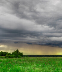 Field of grass is shown with a storm in the background