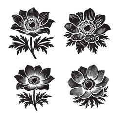 Fototapeta premium High-Quality Vector Silhouette of an Anemone Flower on White Background
