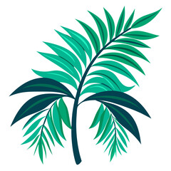 Vibrant palm tree leaves feature a variety of green tones and intricate shapes, emphasizing their unique patterns. Ideal for tropical settings, these leaves enhance natural scenery