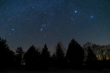 The planet Jupiter shining bright in the night sky next to the Pleiades star cluster and millions of stars over some conifers in a park in the Dordogne region of France