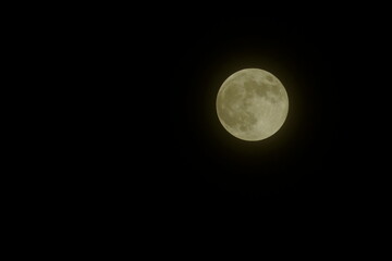 満月